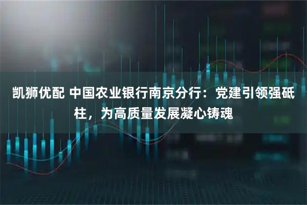 凯狮优配 中国农业银行南京分行：党建引领强砥柱，为高质量发展凝心铸魂
