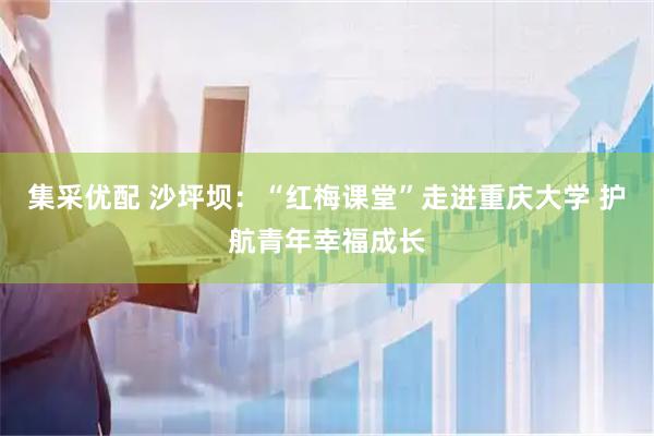 集采优配 沙坪坝：“红梅课堂”走进重庆大学 护航青年幸福成长