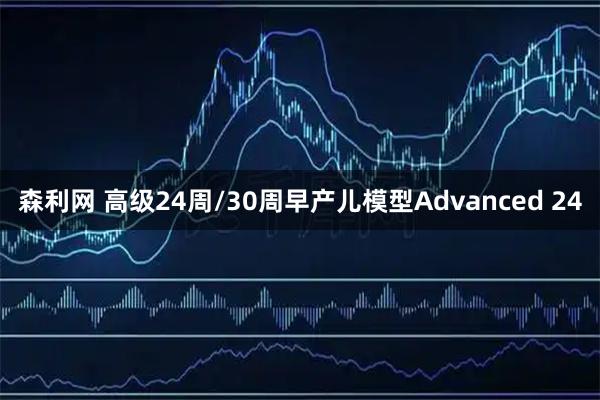 森利网 高级24周/30周早产儿模型Advanced 24