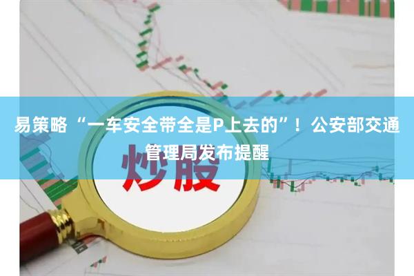 易策略 “一车安全带全是P上去的”！公安部交通管理局发布提醒