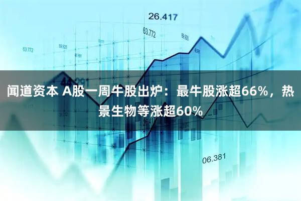 闻道资本 A股一周牛股出炉:最牛股涨超66%,热景生物等涨超60%