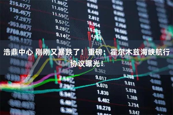 浩鼎中心 刚刚又暴跌了！重磅：霍尔木兹海峡航行协议曝光！