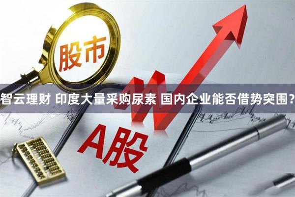 智云理财 印度大量采购尿素 国内企业能否借势突围？